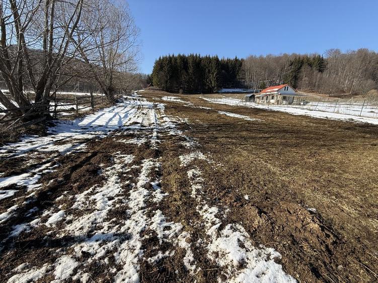 Teren intravilan 4521mp lângă pădure-valea Doftanei -Calea Brasovului - 6