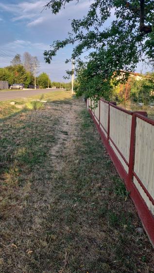 Casa de vanzare!!!Terenul aferent casei 5000mp - 3