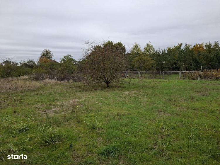 Teren Corbeanca Institutului 1064 mp / 2207 mp la 250 m de mall si DN1 - 6