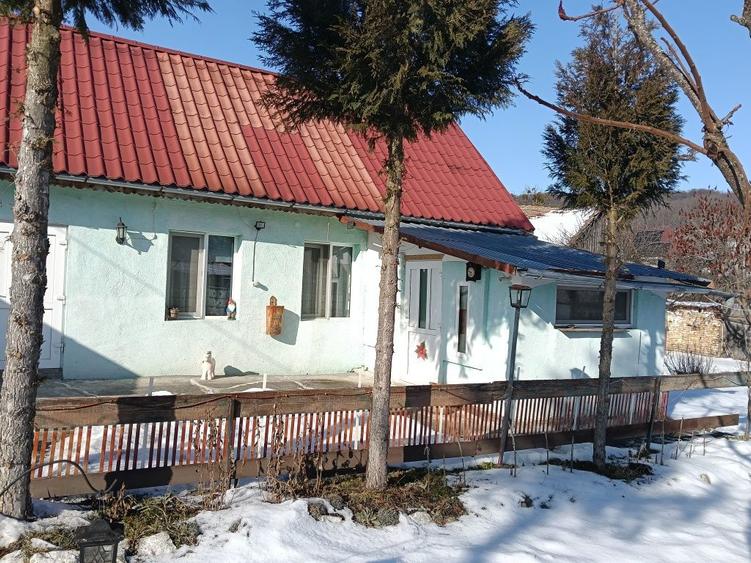 Casa de vanzare in Tichindeal - 8