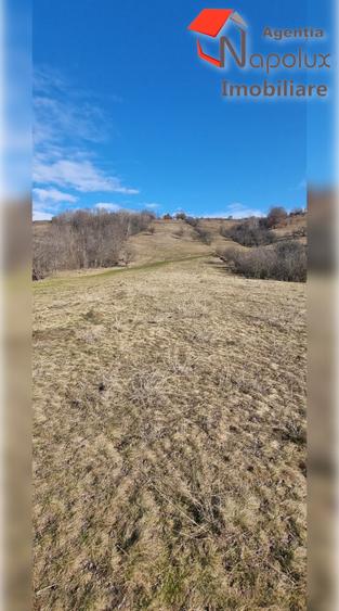 Teren de exceptie 3,1 ha intravilan | Panorama, utilitati, acces dublu | Sard - 2