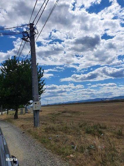 Proprietar, 2000 mp teren extravilan, zona Targul auro Serbanesti - 5