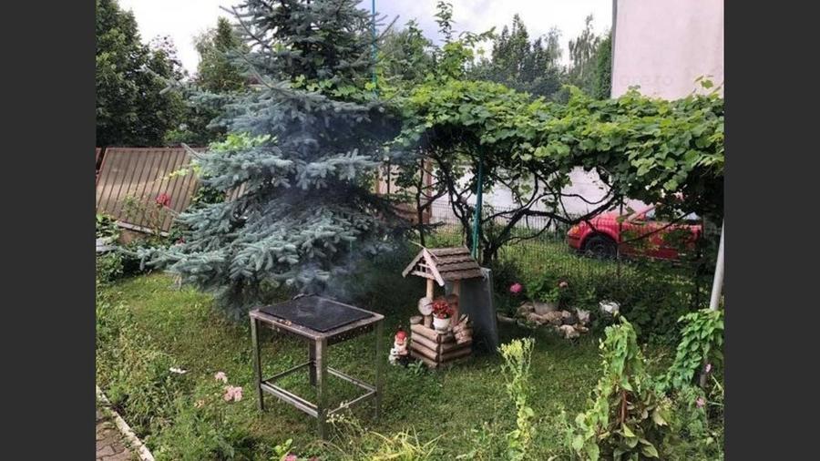 Villa for sale, 10 Rooms, 576 sqm, 700 sqm, Brașov - 7