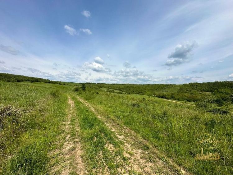 Teren intravilan in zona Hanul Pescarilor, str. Dealul lui Dumnezeu - 8