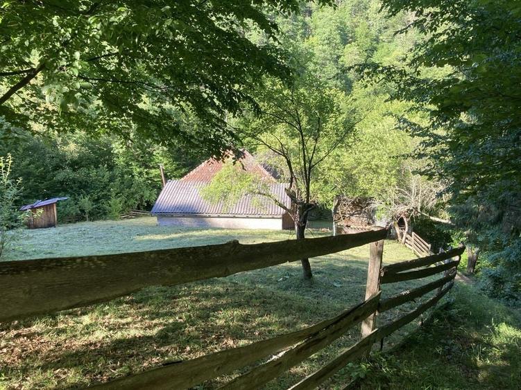 Vand cabana pe Valea Sebesului - 7