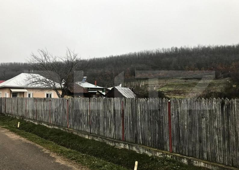 Casa + Teren - 1.724 mp Parcelat de vanzare Valea Mare - 11