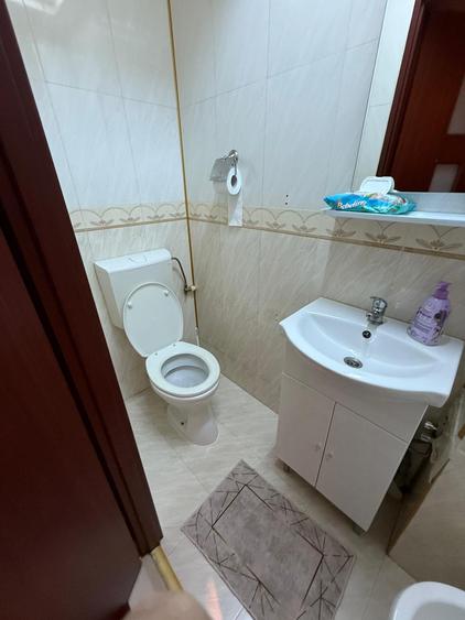 Dristor Nicolae Grigorescu - 3