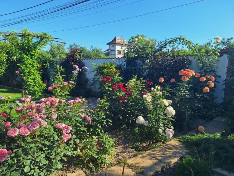 Vila individuala parter si etaj 2008 Priseaca, Targoviste - 5