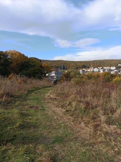 Teren intravilan de vanzare cu suprafata de 6510 mp cartierul Europa - 1