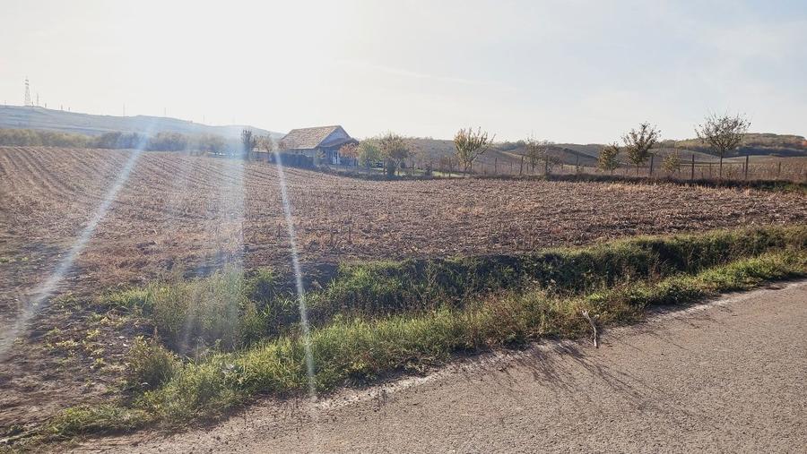 Teren de vanzare - 7