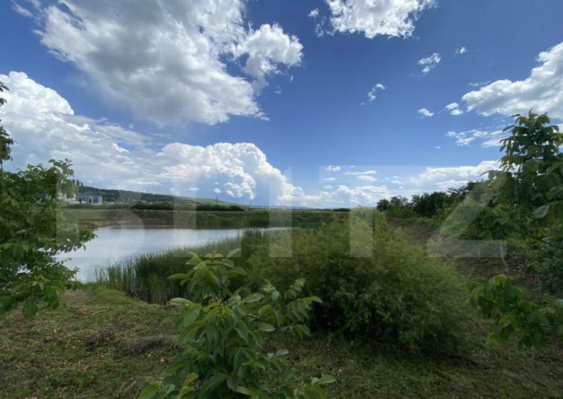 Teren extravilan 10000 mp, cu balta de peste, Salaj, Sarmasa - 8