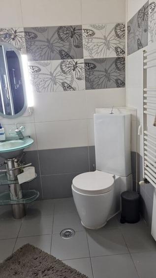 Berceni , Oltenitei - 12