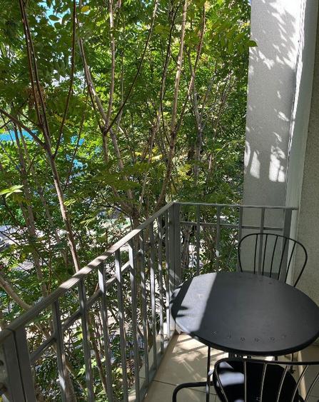 Aparatorii patriei panselelor boc nou - 11