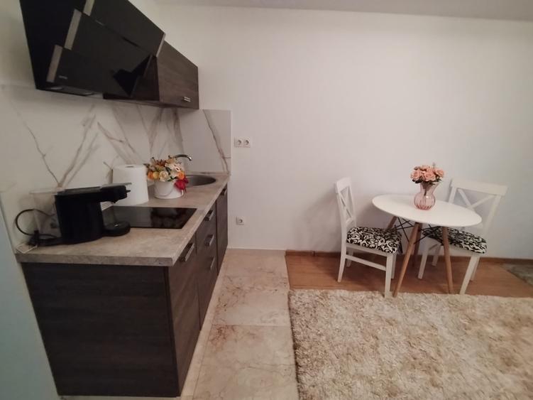 Copou - Garsoniera de inchiriat - Exclusive Residence 159885 - 3