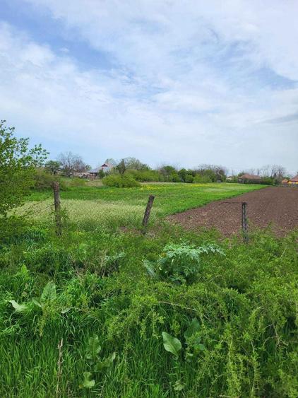 Vand teren intravilan - 4