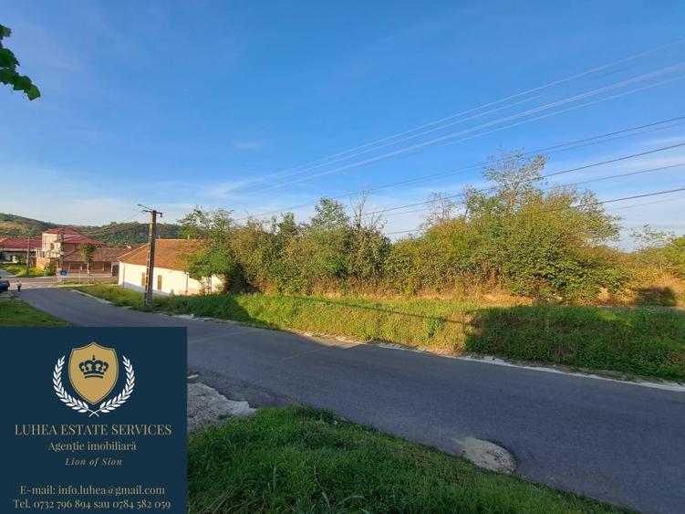 Casa uriasa pentru familii numeroase - 3