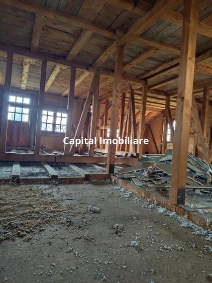 VIla de vanzare Teisani Stubeiu 11250 mp - 10