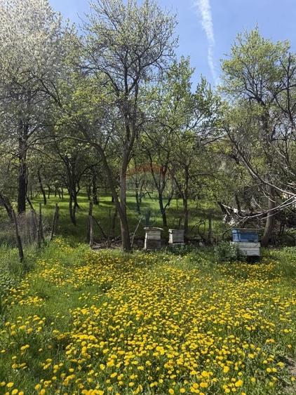 Casă  de vânzare în zona Câmpulung înconjurată de natura - 16