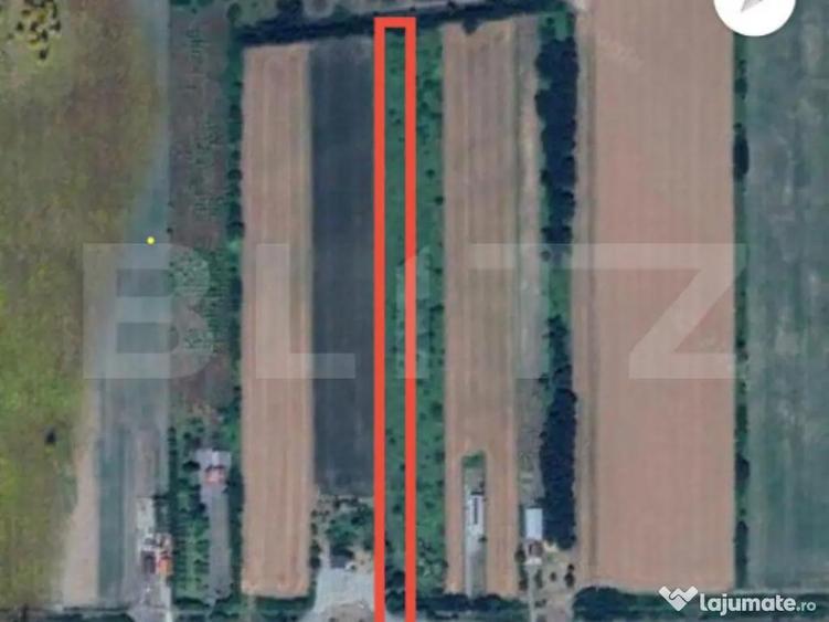 Teren Intravilan de Vanzare 11.500 mp DN E81 Intre - 1