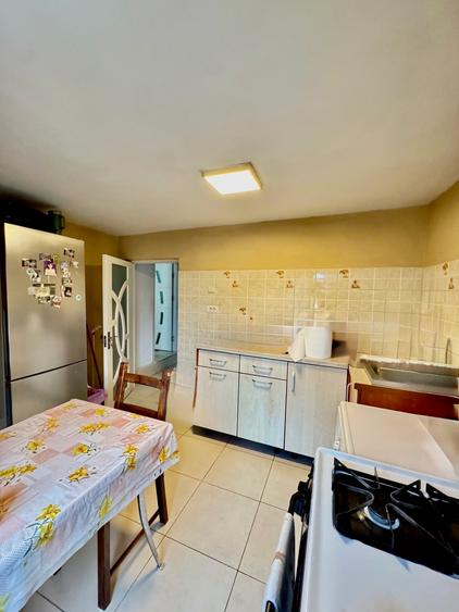 Casa individuala singura in curte, 947 mp teren, Viile Noi - 14