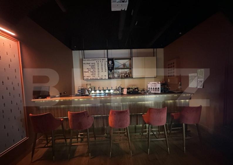 Spa?iu Premium Club/Pub la Cheie, 90 mp, zona Ultracentral - 8