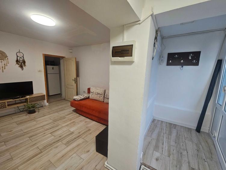 Garsoniera de inchiriat Anda 25 mp, mobilat, utilat, la curte, 250 euro - 4