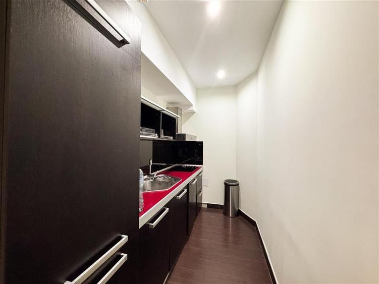 Apartament de inchiriat 2 camere Herastrau Complex Persepolis - 11