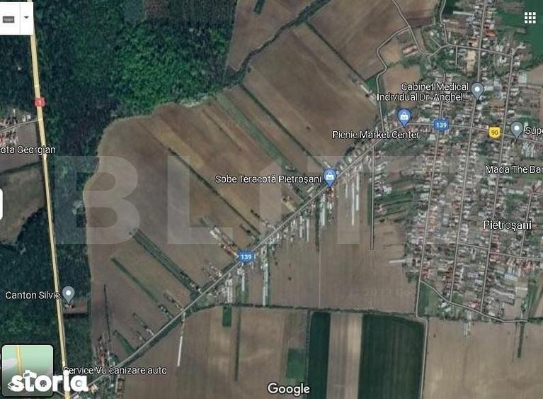 Ferma , teren intravilan 2,3 Ha, Pietrosani - 3