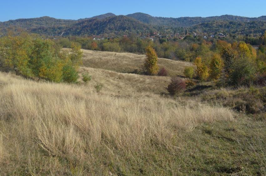 OFERTĂ SPECIALĂ! Teren intravilan de vânzare în Câmpina pe Dealul Muscel - 3