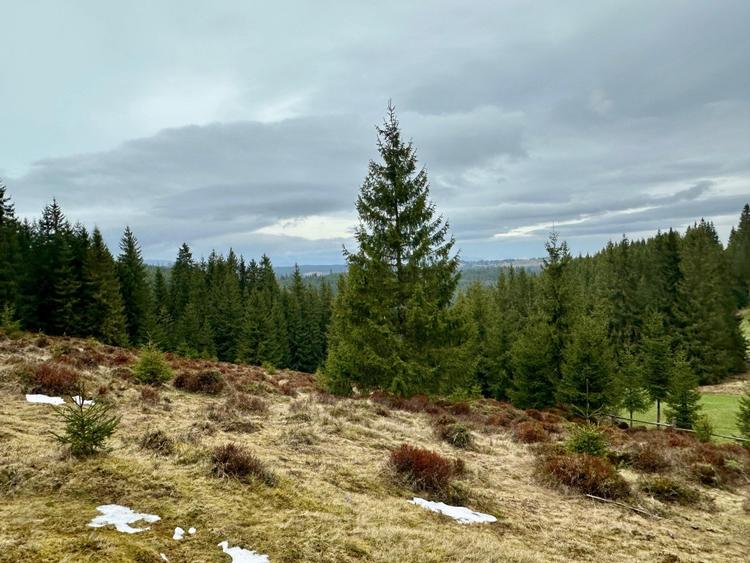 TEREN PARCELABIL, aproape de partia de ski Marisel si Crucea Iancului - 3