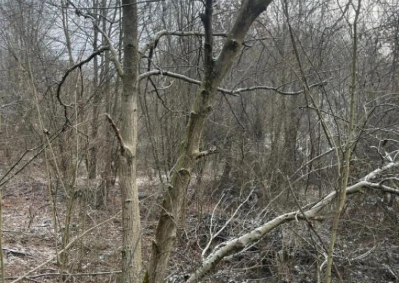 Teren 866 mp | Zona retrasa | Utilita?i la teren | Ideal - 2