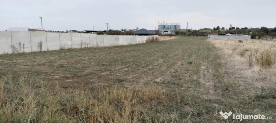 Teren de 1050 mp, în Cârcea
