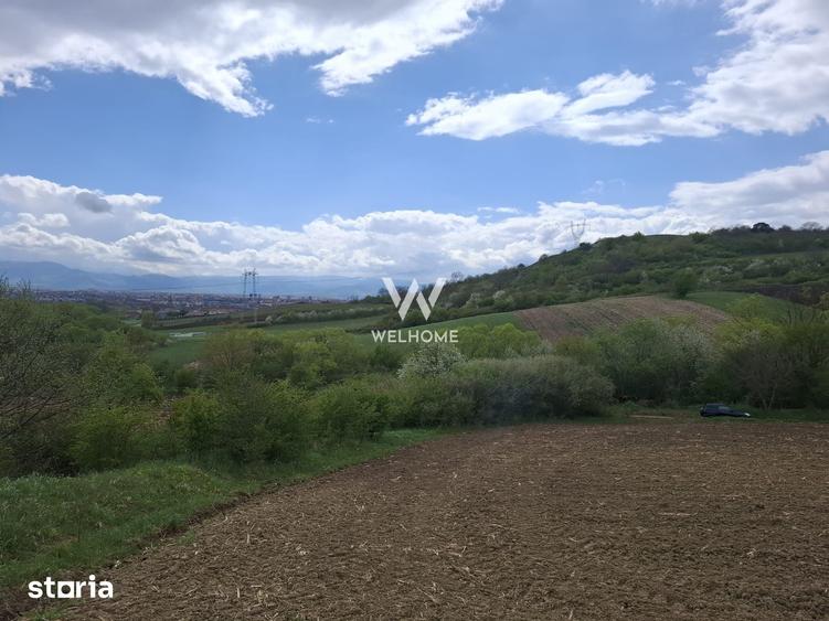 Teren de 5000 mp, în Gușterița