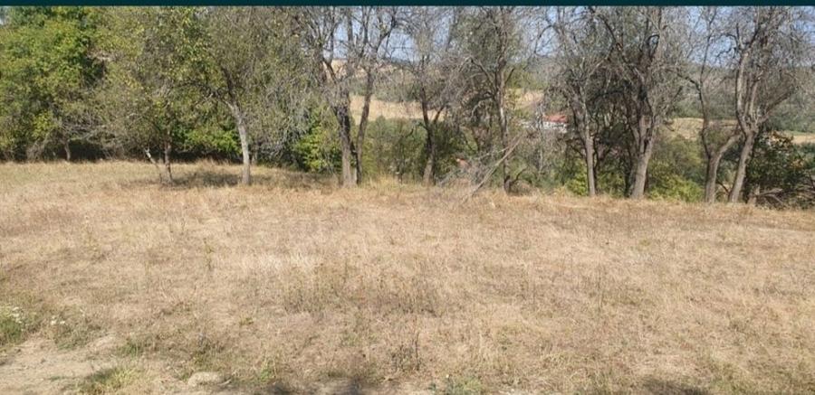 Teren în Fornădia