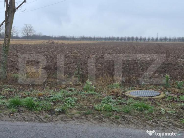 Teren intravilan de vanzare, 2.500 mp, Str Gorunului, zona A - 2