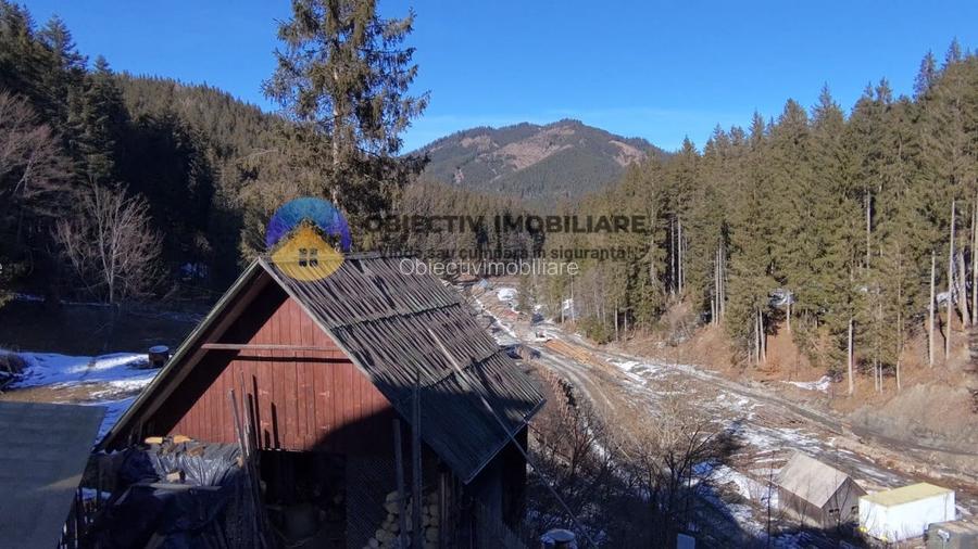 Refugiu Natural: Casa si Teren Inconjurat de Padure !