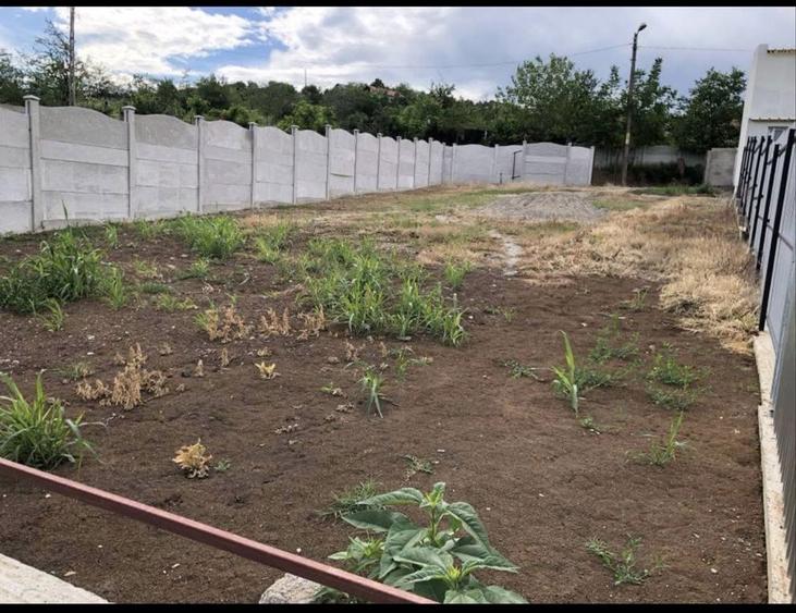 Teren intravilan Severin - Dudasul Schelei - 5