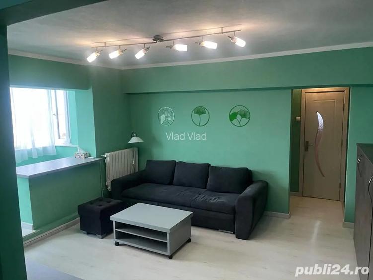 Malul Muresului,2 cam de inchiriat