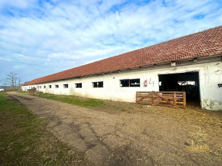 Domeniu - Centru de colectare, 7 ha de vanzare in Valea lui Mihai - 52