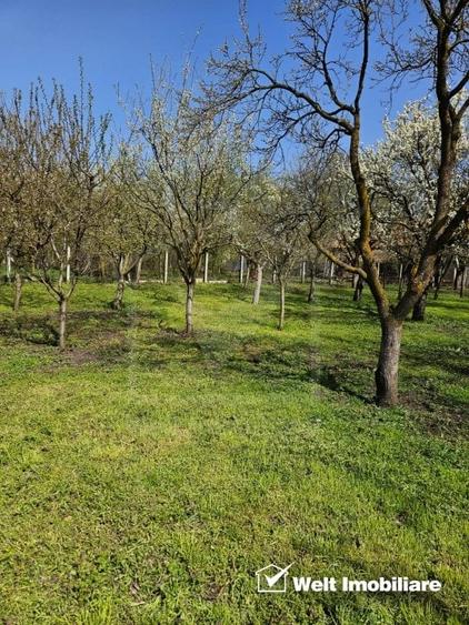 Casa de vanzare, teren 1700 mp, Ceanu Mic, judetul Cluj - 2
