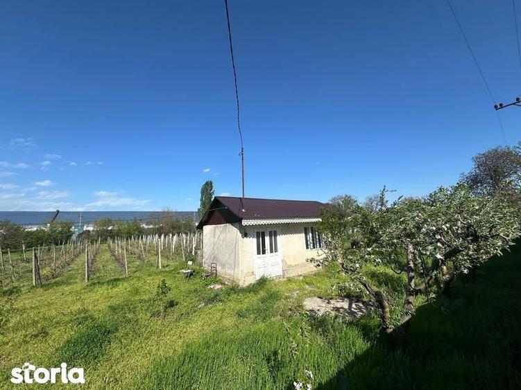 Vand loc de casa - 6