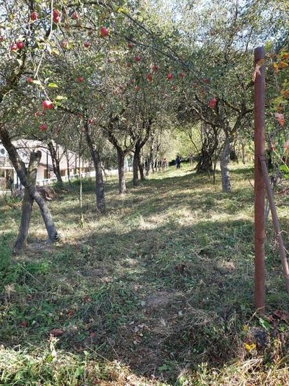 Imobilstar vinde teren unic la Platou ptr. proiect individual - 3