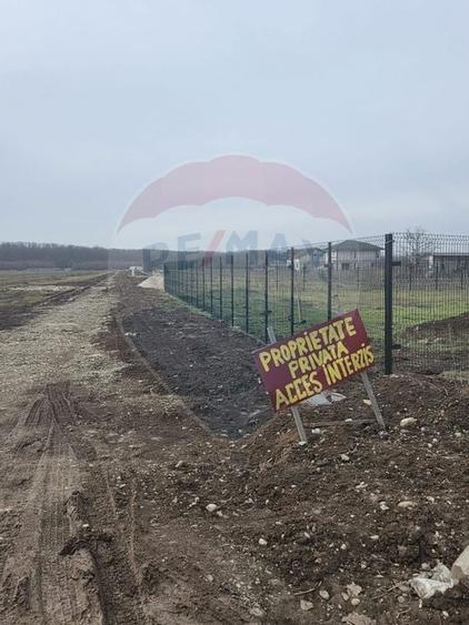 Teren 704 mp Silistea Snagovului vecinatate Padurea Snagov - 2