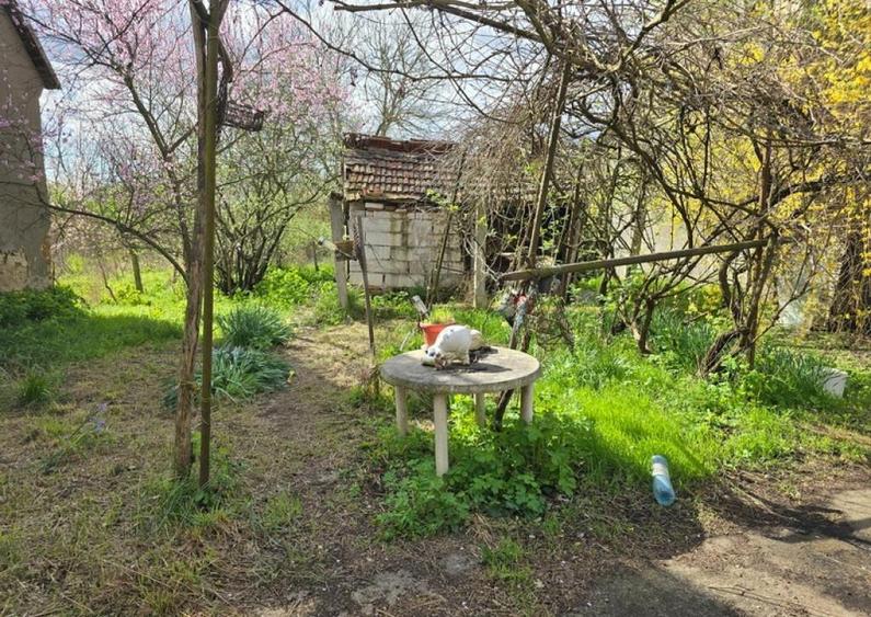 Casa de vanzare in Batiz - 8