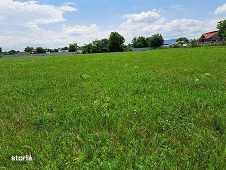 Oportunitate Investitionala Rara: Teren Intravilan17.500mp in Tg.Neamt - 10