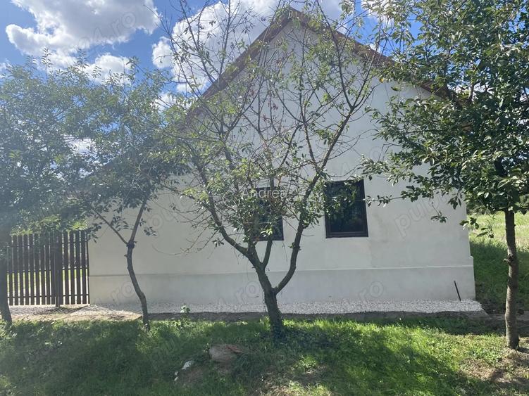 Casa de vanzare 15 minute de Arad , Ungaria , Dombegyhaz