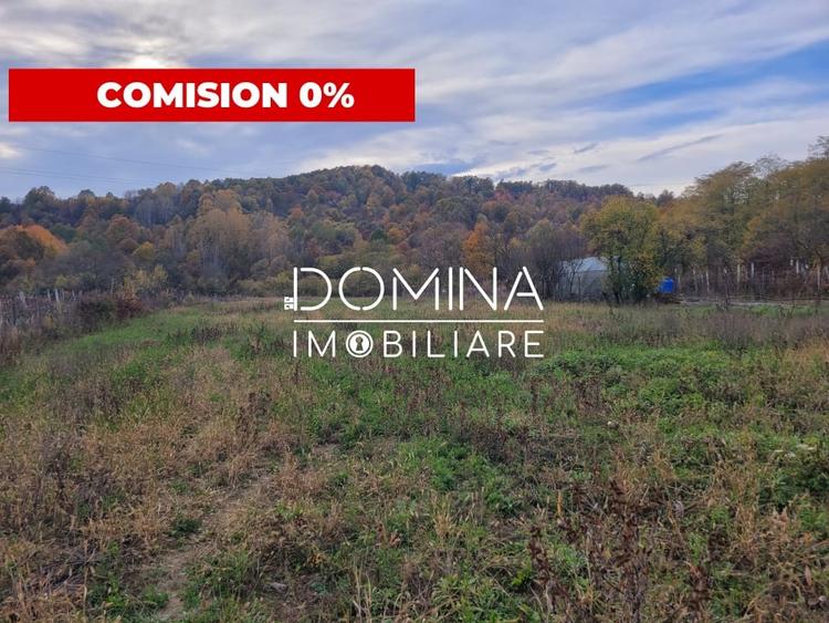 Vanzare teren intravilan, 4967  mp, utilitati, sat Rasova, Balesti - 1