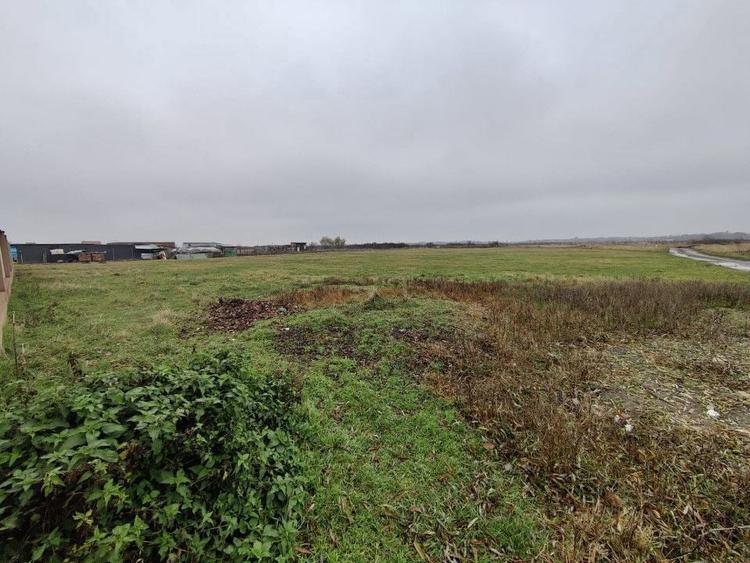 Teren 4588 mp, Remetea Mare Comision 0% - 1