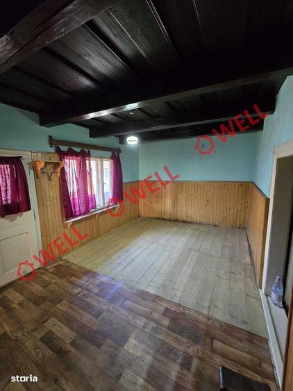 De vanzare casa familiala in Bradu? - 9