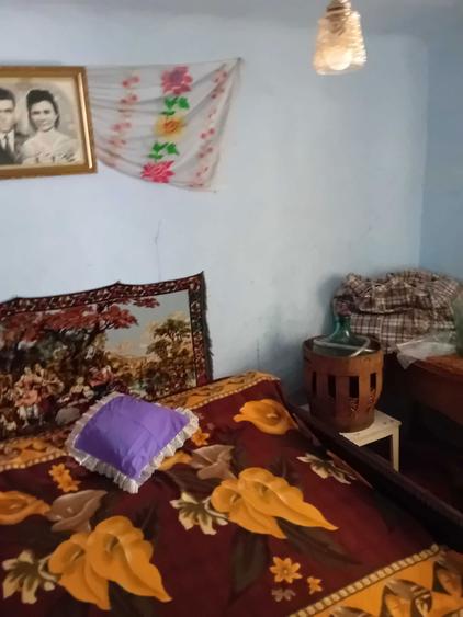 Vand casa din paianta si teren 700m - 3